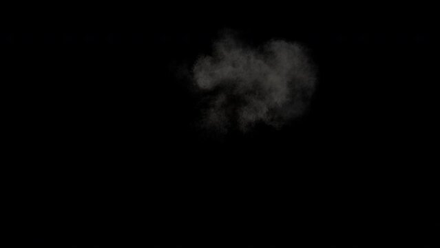 Explosion with fire and smoke shafts, 4k 30p with an alpha channel for transparency. Slow motion so you can adjust the speed. Artist with over 20 years experience