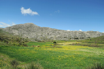 Le mont Kédros vu depuis le plateau de Gious Kampos dans la vallée d'Amari en Crète