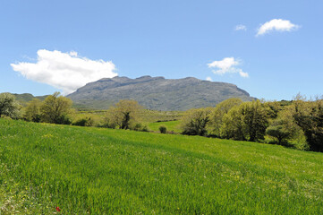 Le mont Kédros vu depuis le plateau de Gious Kampos dans la vallée d'Amari en Crète