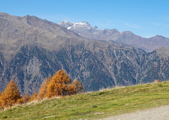 Fototapeta na wymiar Herbstwanderung auf dem Hirzer, Berg bei Meran in Südtirol