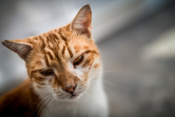 Ein Tag in Agios Prokopis