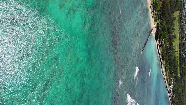 Tropical Eden from Above: Aerial Expedition over Hawaii's Exquisite Coastlines, Sun-Kissed Palms: A Breathtaking Aerial Odyssey through Hawaii's Natural Splendor, Aloha Vista. High quality 4k footage