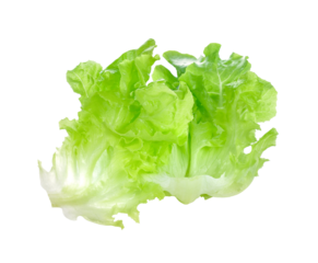 fresh green lettuce leaves transparent png