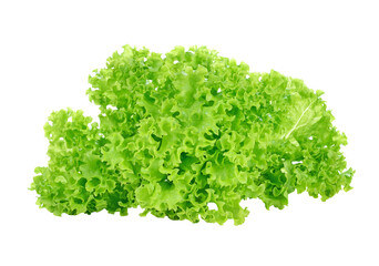 fresh green lettuce leaves transparent png