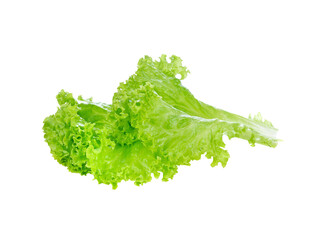 green lettuce leaves transparent png