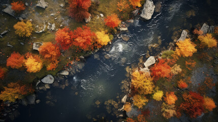 Fototapeta na wymiar Aerial view of autumn