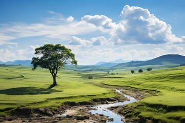 Obraz premium Peaceful nature landscape