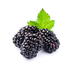 Sweet blackberry with leaves