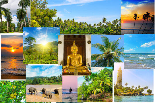 Photo collage of tropical landscapes located in mosaic. Concept - travel. Sri Lanka.