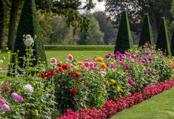 flowers in the park, image shows beautiful and various types of flowers consisting of different colours with sculpted hedges and green grass in the background, taken october 2023