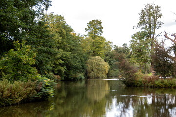 Fototapeta na wymiar lake in the park, image shows a beautiful calm lake on a autumn's day surrounded by coniferous trees and reflecting the trees off the water, taken in a country park in the Netherlands October 2023