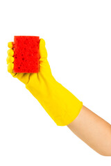 Cleaning with rubber gloves and sponge isolated on white background. Cleaning sponge in hands with place for text. Cleaning concept. Sponge for washing dishes.
