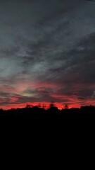 Obraz premium Morning. Sunrise. Black sky and bright red horizon. Silhouettes of roofs of houses and trees are visible. Beautiful sky.
