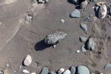 the sandy bottom of the river on the shallows are small pebbles and drifts of wood branches, small fragments, close-up.