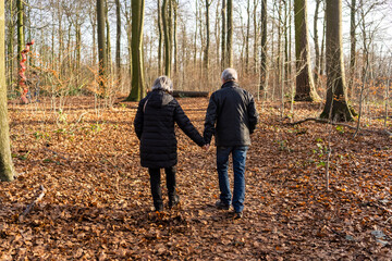 Active senior couple walking in autumn forest