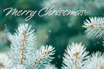 Christmas Pine or Conifer Tree Photo Border with Snow Falling & Merry Christmas Message