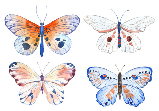 Watercolor painted butterflies. Hand drawn design elements isolated on white background.