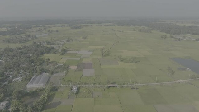 Aerial drone flight above green countryside and rice paddies in bangladesh