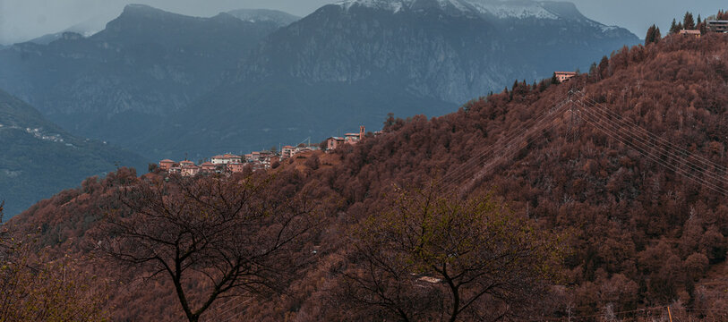 valle, val palot, iseo, lombardia, boschi, montagna, alberi, foliage, verde, panorami, scorci, animali, pecore, montone, caprone, corna, pascolo, gregge, prati,alberi
