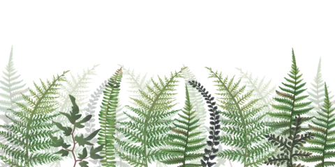 Fotobehang Fern horizontal banner. Vector illustration, border of fern on a white background, cartoon decorative seamless strip for summer and autumn season, design for cosmetics, homedesign, ecology © Кристина Барсукова