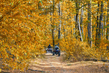 Adventurous quad biking in a sunlit autumn forest © Pihuliak