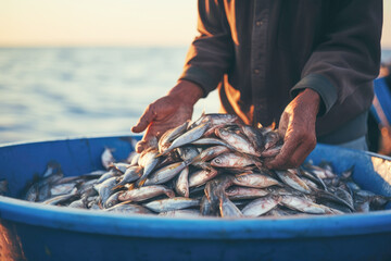 The fisherman's catch of mackerel, a prized ingredient for preparing delectable and flavorful dishes