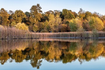 Obraz premium Reflections at the lake