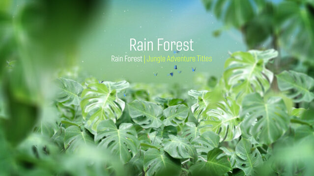 Rain Forest Jungle Adventure Titles