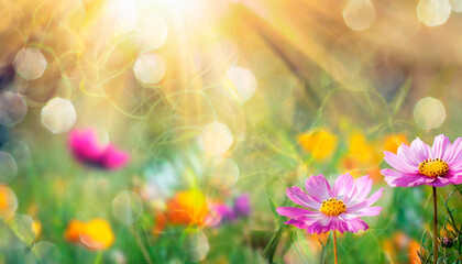 Colorful flower meadow with sun rays and bokeh lights in summer - natural background. AI Generated
