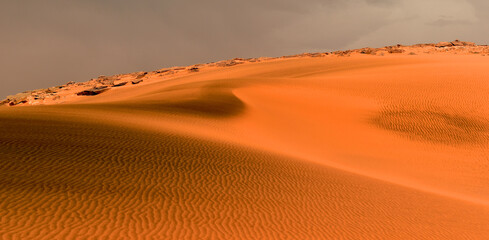 Fototapeta na wymiar Sand dunes in the Sahara Desert, black packed sand, Algeria