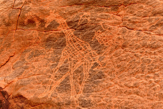 Giraffes - prehistoric petroglyphs, rock art in Tadrart Rouge, Tadrart Akkak, Sahara, Algiers, horizontal view