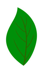 Tree Leaf