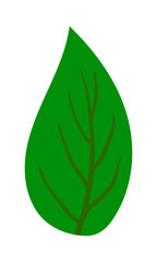 Tree Leaf