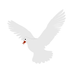 Obraz premium Flying White Dove