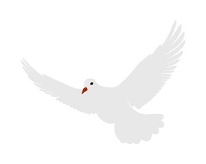 Flying White Dove