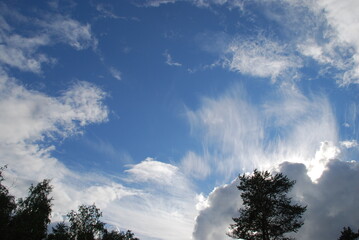Clouds over the trees. Sunny summer day. High cirrus and low cumulus clouds hang in the light blue sky. The blue sky is visible between them. Tall trees with green leaves grow below.
