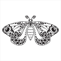Beautiful butterfly. Decorative stylized insect drawn by hand in black. wings Beetle. Vector illustration on a white background.