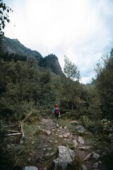 A woman with a backpack, a hiker, walks along a stony path in the middle of a dense forest. travel concept. Trail to Shdugra Waterfall. Caucasus Mountain Georgia, Svaneti Region. Vertical photo