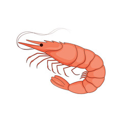 Shrimp vector icon isolated on a white background. Marine inhabitants. Vector illustration