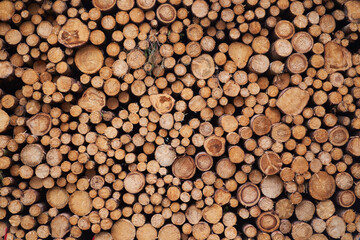 Abstract background picture made from spruce trees logs stacked on each other in pile in the...