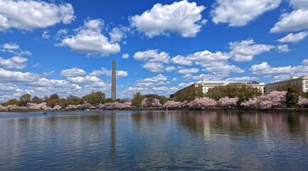 Beautiful Spring day at the Capital, Washington Memorial and several buildings from a distance,...