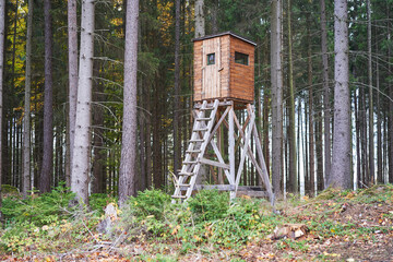 Hunting pulpit or hunters tower in the spruce tree forest in autumn. Traditional czech style wooden...