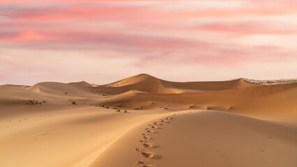 Trail of camel footprint on sand dunes of Sahara Desert in northern Africa, a vast expanse of sand and dunes that stretches as far as the eye can see.