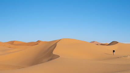 Unidentified tourist walking on sand dunes of Sahara Desert in northern Africa, a vast expanse of...