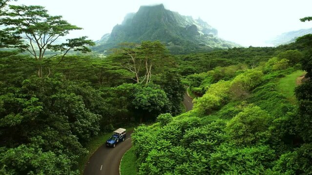 Drone Tahiti. Aerial view of Moorea, Belvedere lookout, Mount Rotui forest mountain jungle. Tropical island paradise, vacation in French Polynesia, Tahiti travel. 