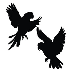 Parrot Flying Silhouette on White Background