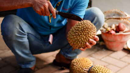 hand of Asian man using knife to open durian