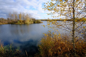 Obraz premium autumn trees reflected in water