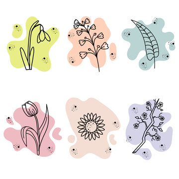 set of elements for design. set of linear illustrations of flowers. Snowdrop, tulip, sunflower, sakura