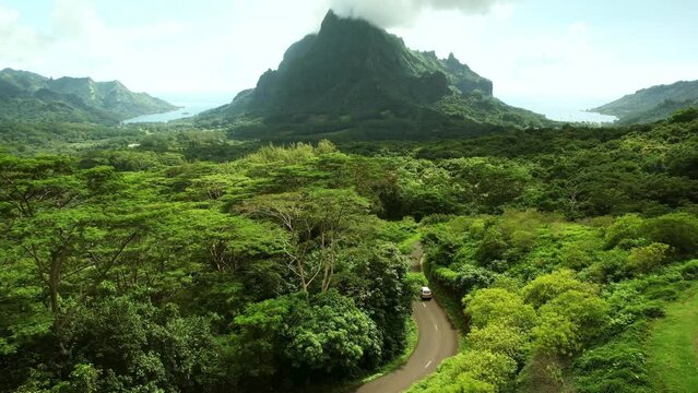 Drone Tahiti. Aerial view of Moorea, Belvedere lookout, Mount Rotui forest mountain jungle. Tropical island paradise, vacation in French Polynesia, Tahiti travel. 